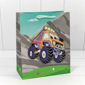 Пакет подарочный