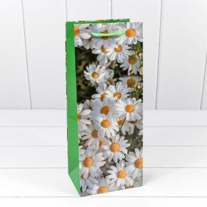 Пакет подарочный