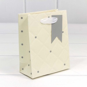 Пакет подарочный