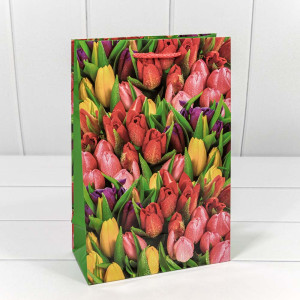 Пакет подарочный