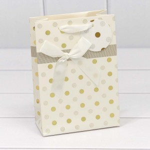 Пакет подарочный