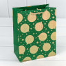 Пакет подарочный Пакет подарочный