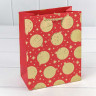 Пакет подарочный Пакет подарочный