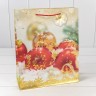 Пакет подарочный Пакет подарочный