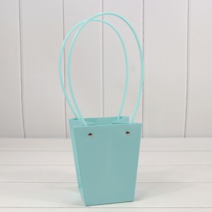 Пакет подарочный    