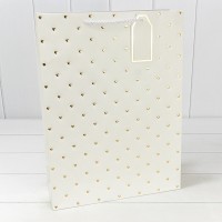 Пакет подарочный 