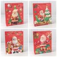 Пакет подарочный  