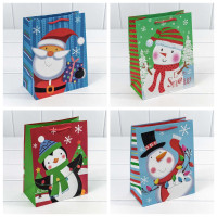 Пакет подарочный