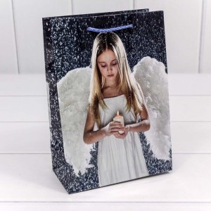 Пакет подарочный