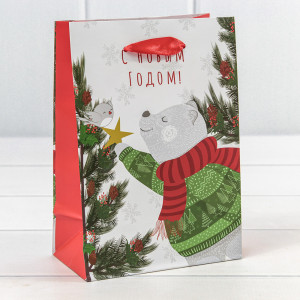 Пакет подарочный 