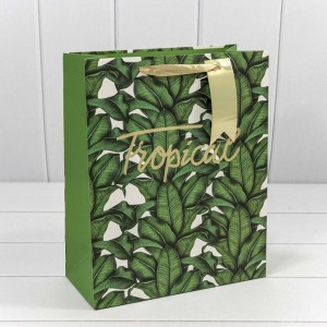 Пакет подарочный