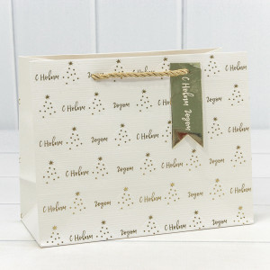 Пакет подарочный