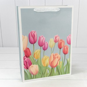 Пакет подарочный          