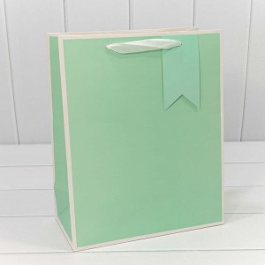 Пакет подарочный