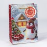 Пакет подарочный  