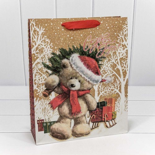 Пакет подарочный