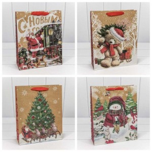 Пакет подарочный