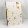 Пакет подарочный Пакет подарочный