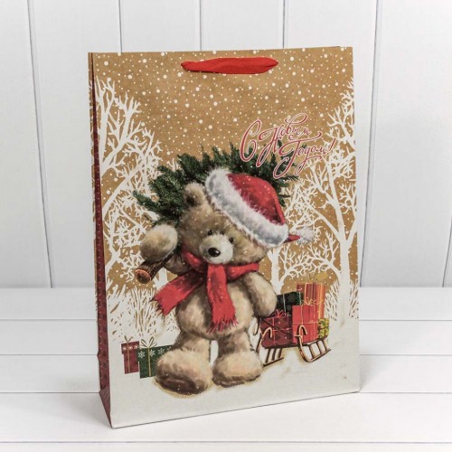 Пакет подарочный