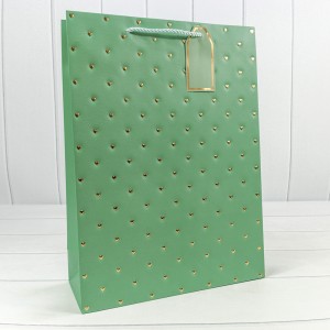 Пакет подарочный  