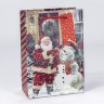 Пакет подарочный   