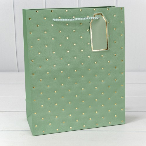 Пакет подарочный   