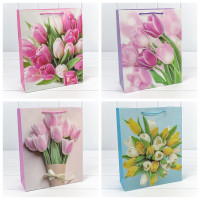 Пакет подарочный  