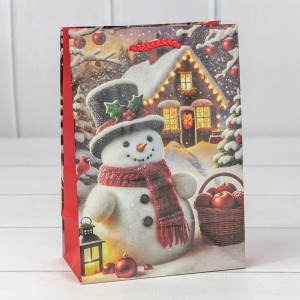 Пакет подарочный  