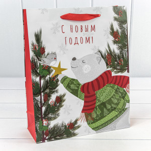 Пакет подарочный   