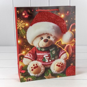 Пакет подарочный    