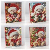 Пакет подарочный    