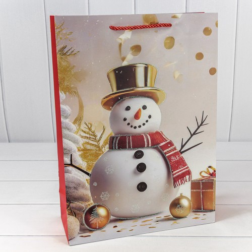 Пакет подарочный