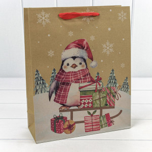 Пакет подарочный     