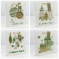 Пакет подарочный 