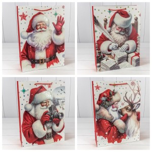 Пакет подарочный    