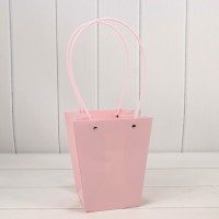 Пакет подарочный  