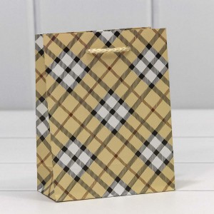 Пакет подарочный