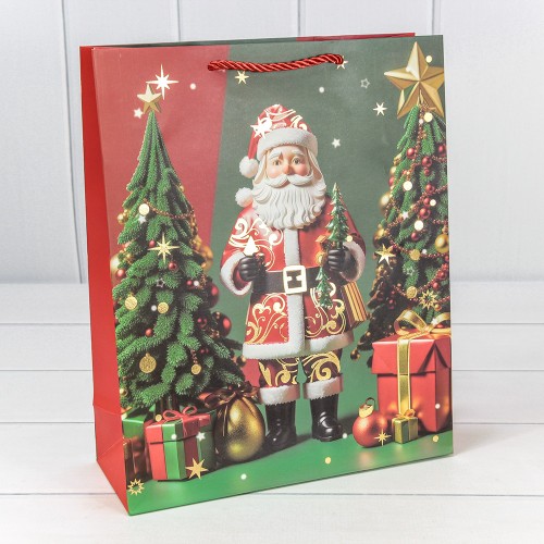 Пакет подарочный