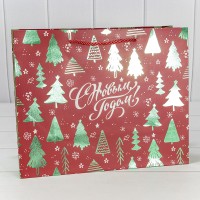 Пакет подарочный    