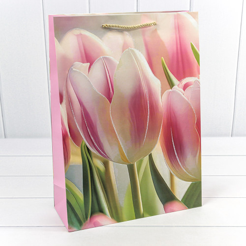 Пакет подарочный         