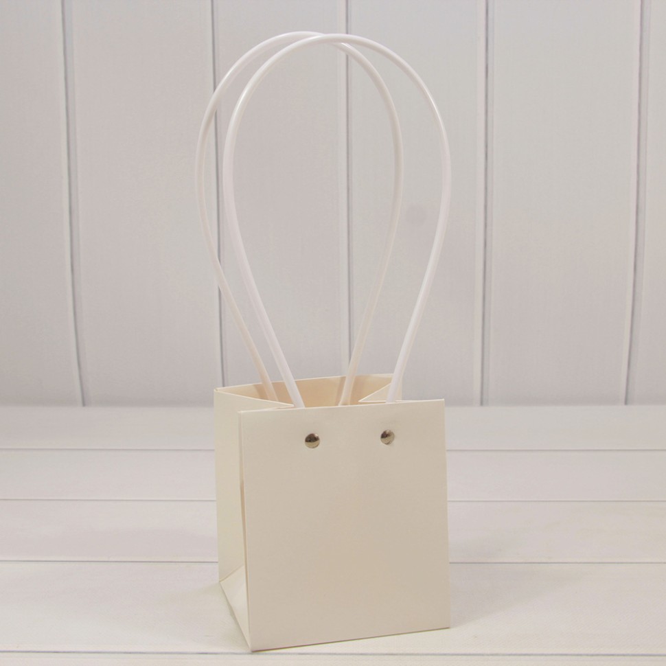 Пакет подарочный Пакет подарочный