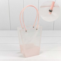 Пакет пластиковый