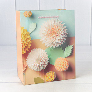 Пакет подарочный   